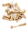 Brass rivets 6mm head (10pcs)
