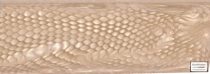 Juma Ivory Snake, 10mm 1 pereche